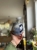 IMG_4352.jpeg